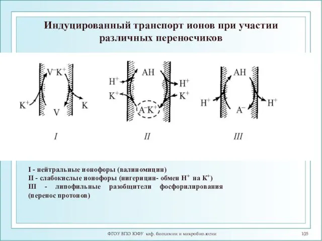 Индуцированный транспорт ионов при участии различных переносчиков I - нейтральные