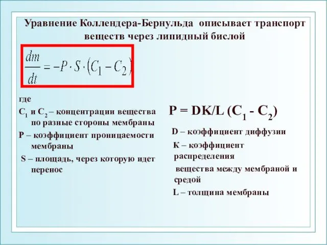 Уравнение Коллендера-Бернульда описывает транспорт веществ через липидный бислой где С1