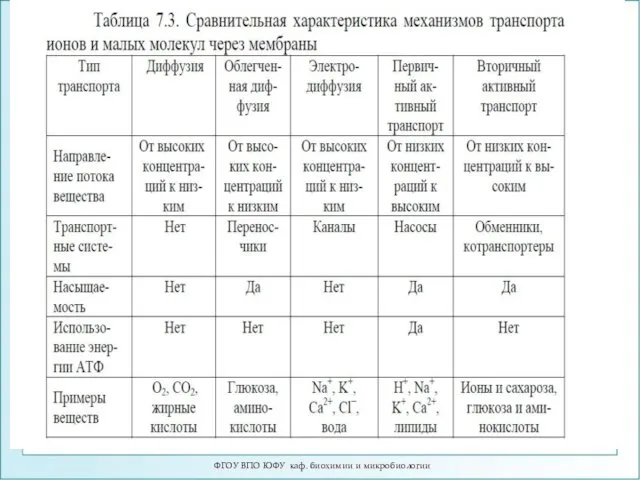 ФГОУ ВПО ЮФУ каф. биохимии и микробиологии