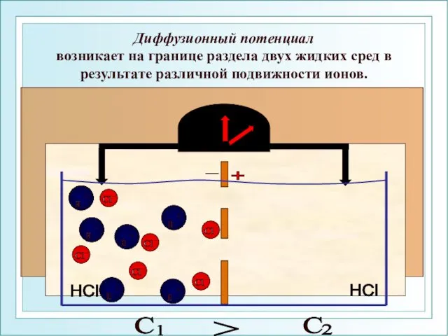 Диффузионный потенциал возникает на границе раздела двух жидких сред в