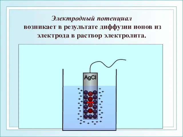 Электродный потенциал возникает в результате диффузии ионов из электрода в