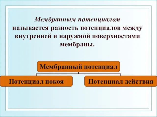 Мембранным потенциалом называется разность потенциалов между внутренней и наружной поверхностями мембраны.