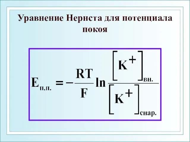 Уравнение Нернста для потенциала покоя