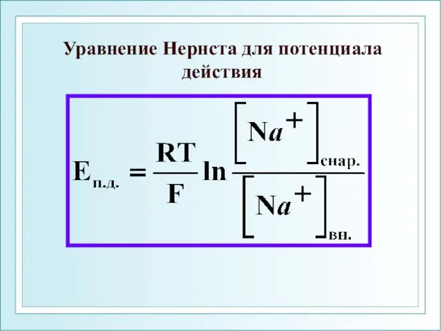 Уравнение Нернста для потенциала действия