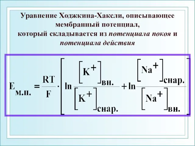 Уравнение Ходжкина-Хаксли, описывающее мембранный потенциал, который складывается из потенциала покоя и потенциала действия