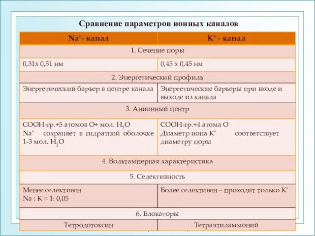 Сравнение параметров ионных каналов ФГОУ ВПО ЮФУ каф. биохимии и микробиологии