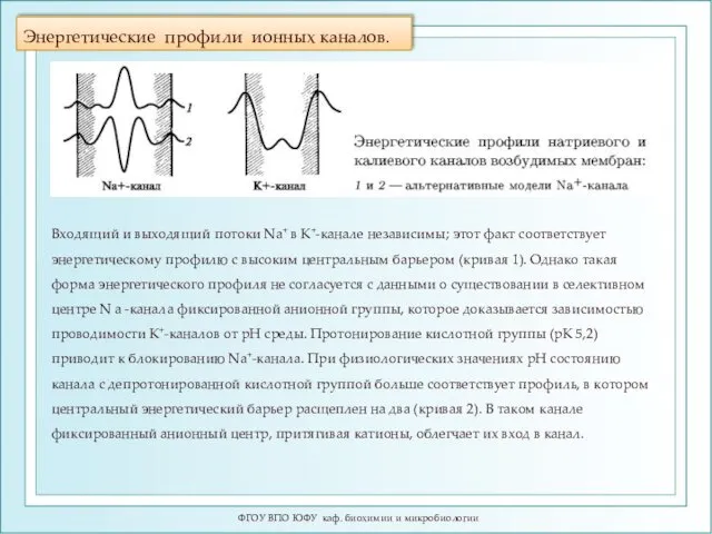 Энергетические профили ионных каналов. ФГОУ ВПО ЮФУ каф. биохимии и