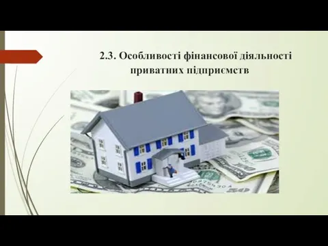 2.3. Особливості фінансової діяльності приватних підприємств