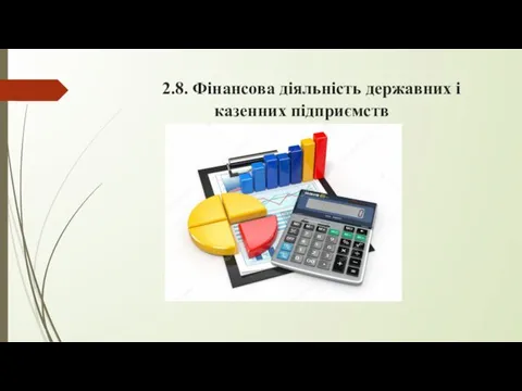 2.8. Фінансова діяльність державних і казенних підприємств