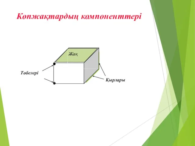 Көпжақтардың компоненттері