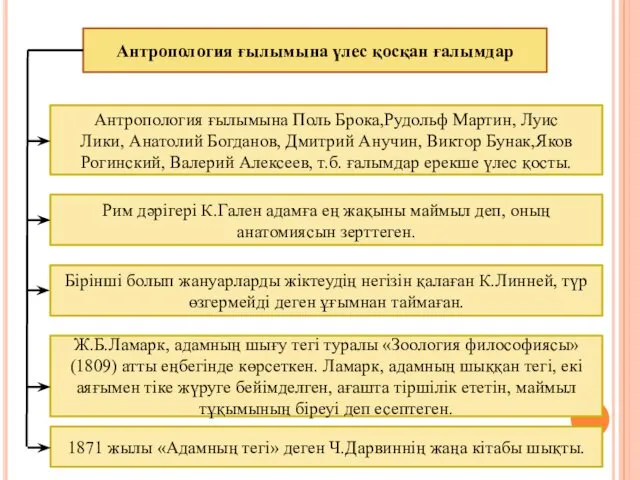 Антропология ғылымына үлес қосқан ғалымдар Антропология ғылымына Поль Брока,Рудольф Мартин,