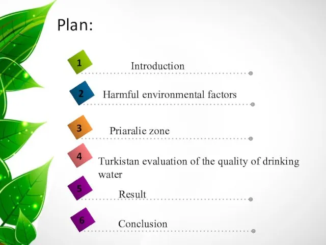 Plan: Priaralie zone Turkistan evaluation of the quality of drinking water Result Conclusion