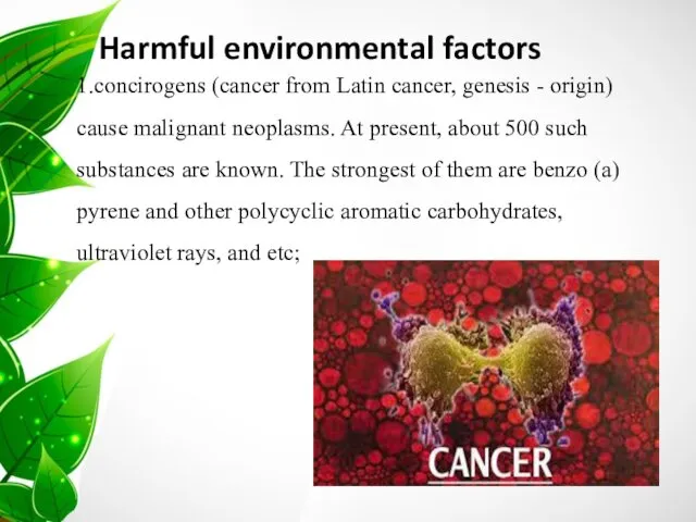 1.concirogens (cancer from Latin cancer, genesis - origin) cause malignant