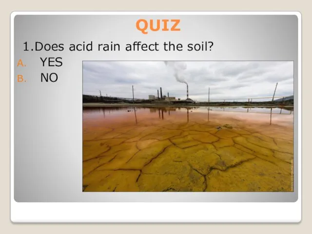 QUIZ 1.Does acid rain affect the soil? YES NO