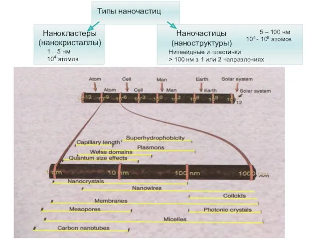 5 – 100 нм 104 - 108 атомов Нитевидные и