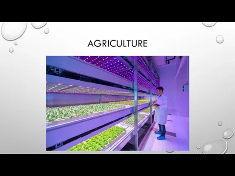 AGRICULTURE