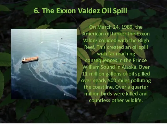 6. The Exxon Valdez Oil Spill On March 24, 1989,