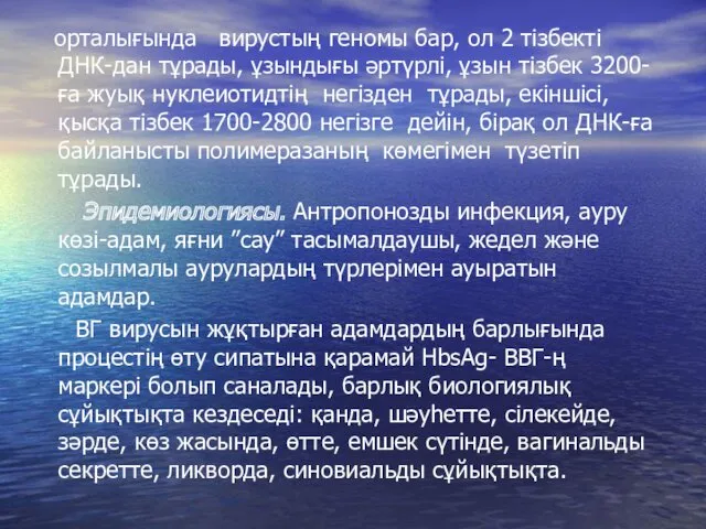 орталығында вирустың геномы бар, ол 2 тізбекті ДНК-дан тұрады, ұзындығы