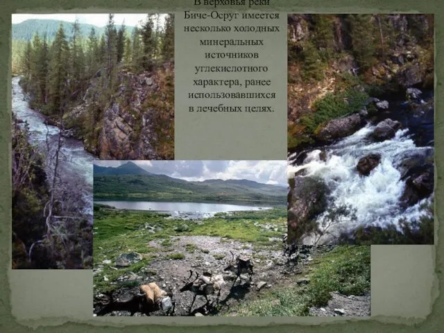 В верховья реки Биче-Осруг имеется несколько холодных минеральных источников углекислотного характера, ранее использовавшихся в лечебных целях.
