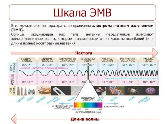 Шкала ЭМВ Все окружающее нас пространство пронизано электромагнитным излучением (ЭМВ).