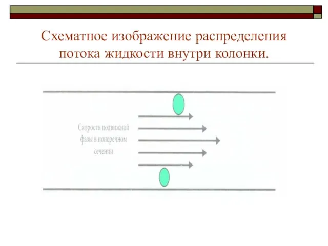 Схематное изображение распределения потока жидкости внутри колонки.