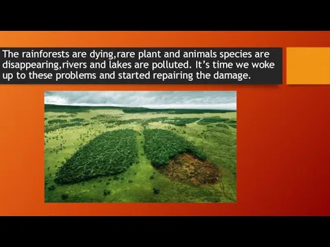 The rainforests are dying,rare plant and animals species are disappearing,rivers