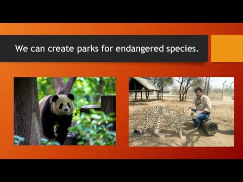 We can create parks for endangered species.