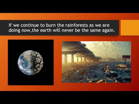 If we continue to burn the rainforests as we are