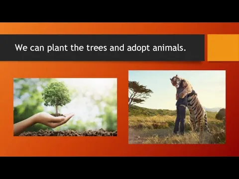 We can plant the trees and adopt animals.