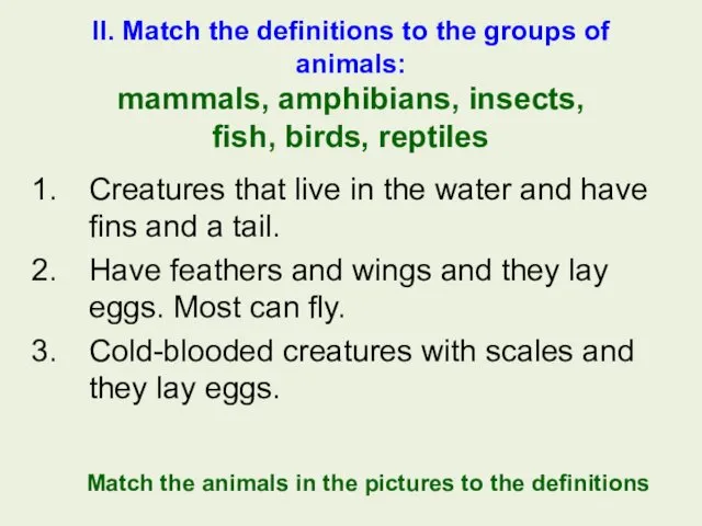 II. Match the definitions to the groups of animals: mammals, amphibians, insects, fish,