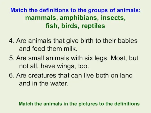 Match the definitions to the groups of animals: mammals, amphibians, insects, fish, birds,