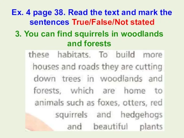 3. You can find squirrels in woodlands and forests Ex. 4 page 38.