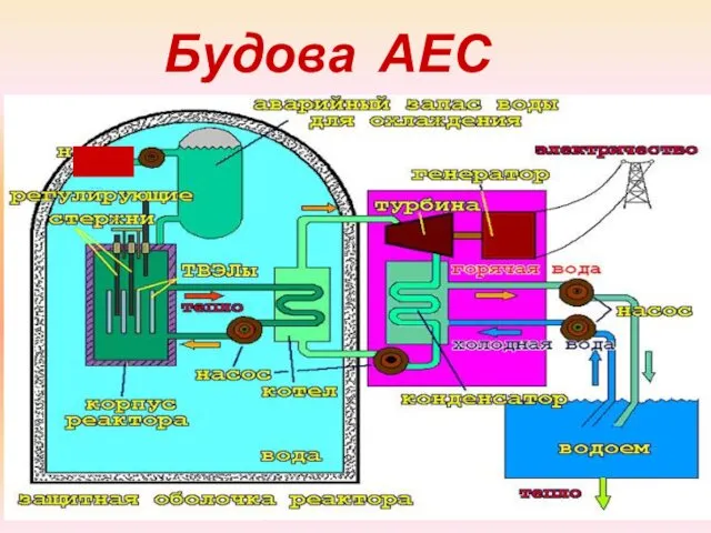 Будова АЕС -