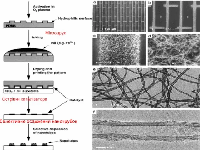 Мікродрук Острівки каталізатора Селективне осадження нанотрубок