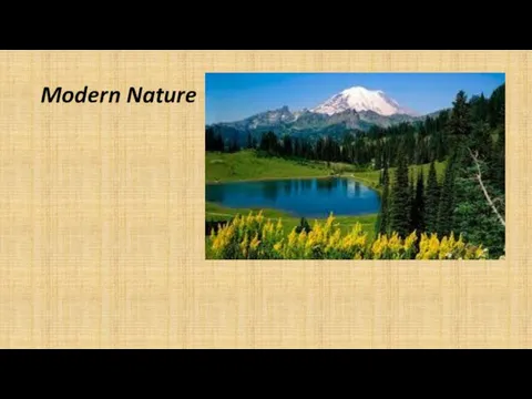 Modern Nature