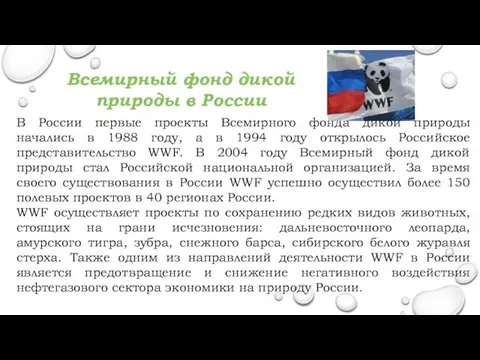 В России первые проекты Всемирного фонда дикой природы начались в