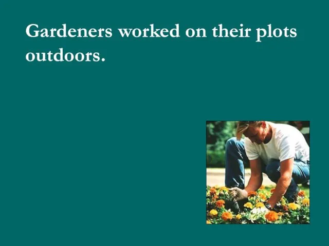 Gardeners worked on their plots outdoors.