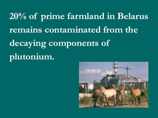 20% of prime farmland in Belarus remains contaminated from the decaying components of plutonium.