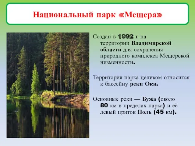 Национальный парк «Мещера» Создан в 1992 г на территории Владимирской области для сохранения