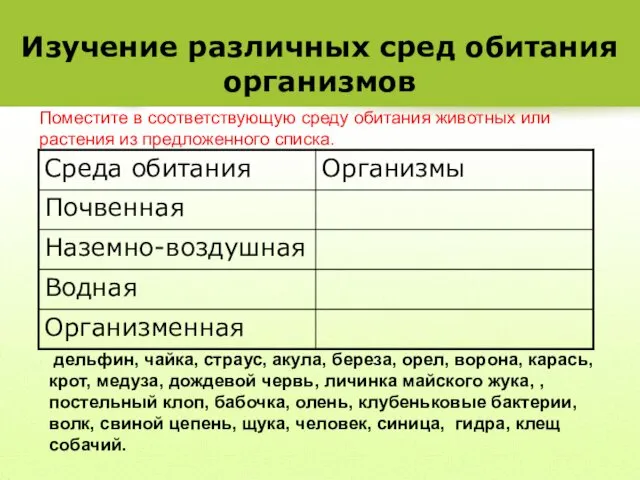 Изучение различных сред обитания организмов дельфин, чайка, страус, акула, береза,