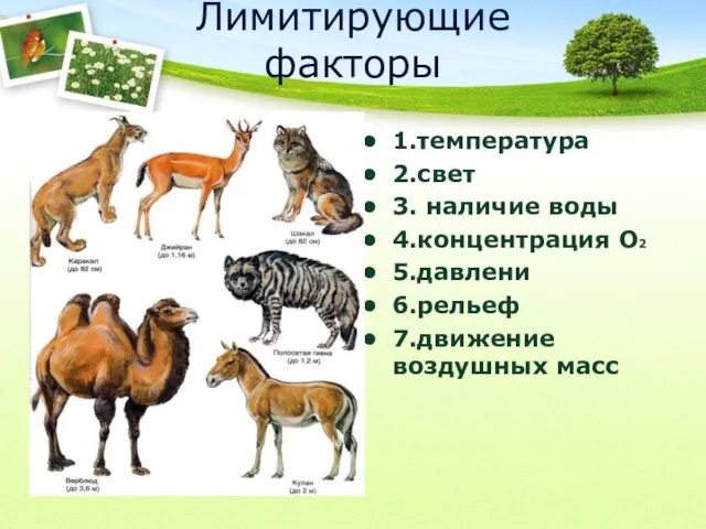 Лимитирующие факторы 1.температура 2.свет 3. наличие воды 4.концентрация О2 5.давлени 6.рельеф 7.движение воздушных масс