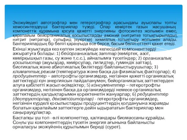 Экожүйедегі автотрофтар мен гетеротрофтар арасындағы ауыспалы топты хемосинтездеуші бактериялар түзеді.