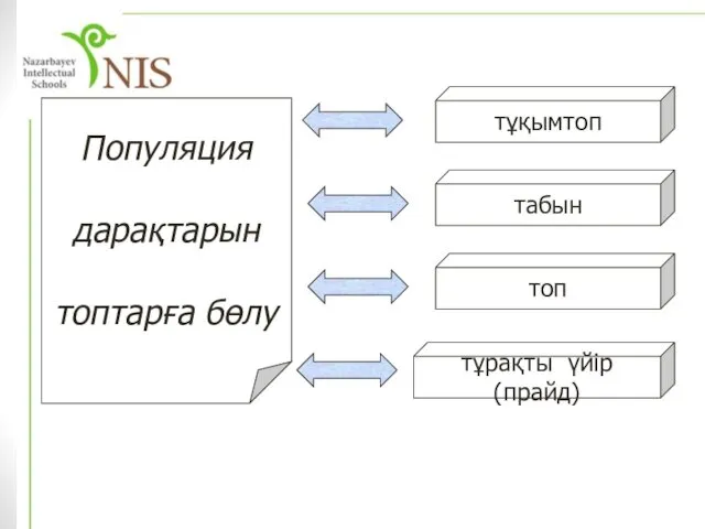 Популяция дарақтарын топтарға бөлу тұқымтоп табын топ тұрақты үйір (прайд)