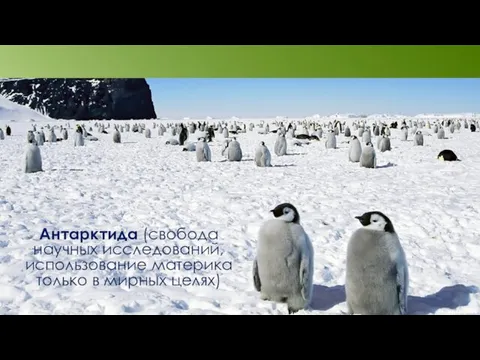 Антарктида (свобода научных исследований, использование материка только в мирных целях)