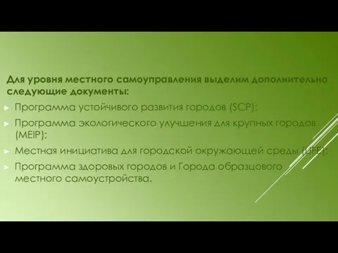 Для уровня местного самоуправления выделим дополнительно следующие документы: Программа устойчивого