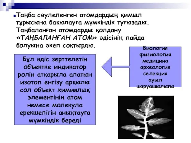 Таңба сәулеленген атомдардың қимыл тұрысына бақылауға мүмкіндік туғызады. Таңбаланған атомдарды