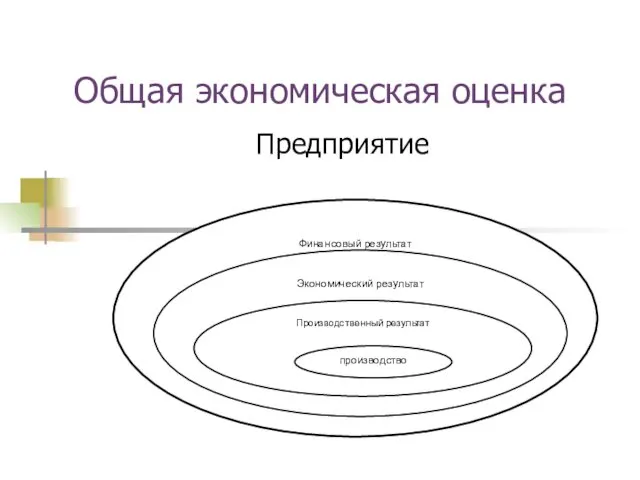 Общая экономическая оценка Предприятие Финансовый результат Экономический результат Производственный результат производство