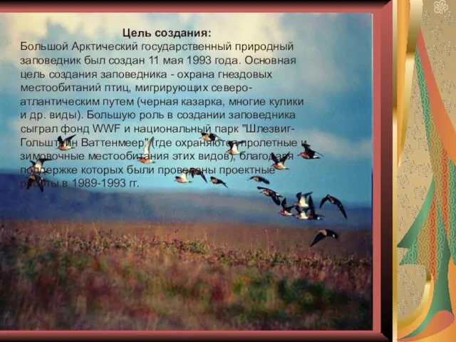 Цель создания: Большой Арктический государственный природный заповедник был создан 11