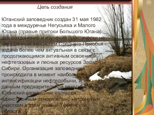 Цель создания Юганский заповедник создан 31 мая 1982 года в