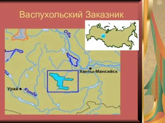 Васпухольский Заказник